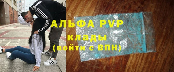 сатива Алексеевка